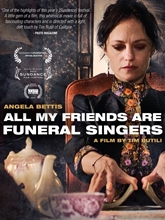 Picture of All My Friends Are Funeral Singers