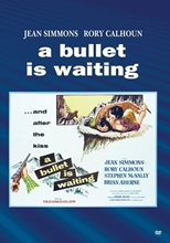 Picture of BULLET IS WAITING