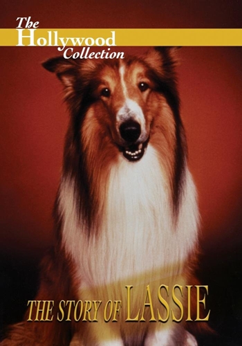 Picture of HOLLYWOOD COLLECTION: THE STORY OF LASSIE