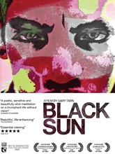 Picture of Black Sun