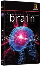 Picture of BRAIN