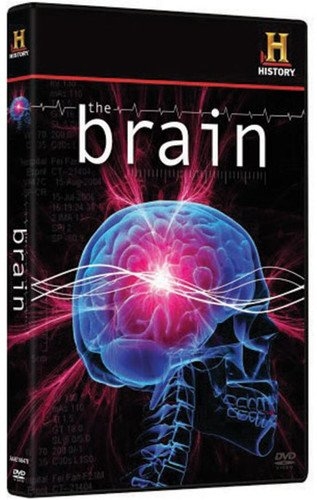 Picture of BRAIN