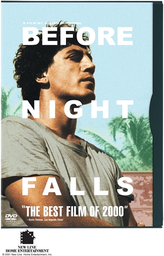 Picture of BEFORE NIGHT FALLS