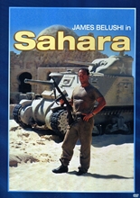 Picture of SAHARA (1995)