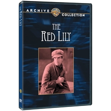 Picture of RED LILY