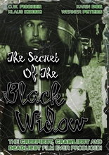 Picture of The Secret Of The Black Widow