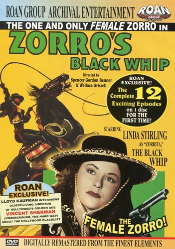 Picture of Zorro's Black Whip