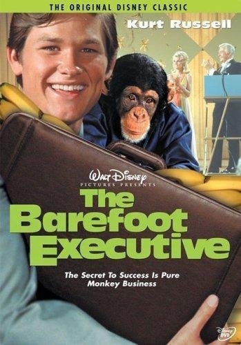 Picture of BAREFOOT EXECUTIVE