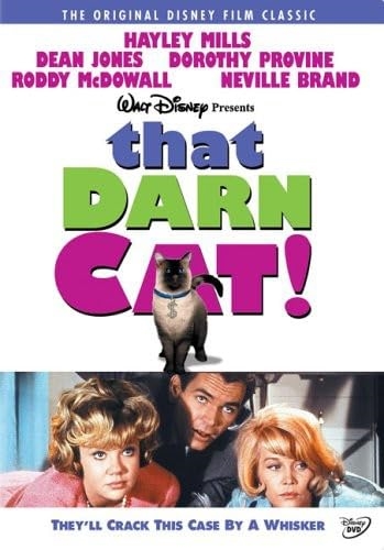 Picture of THAT DARN CAT (1965)