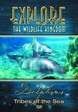 Picture of DOLPHINS TRIBES OF THE SEA