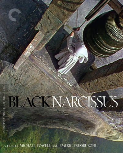 Picture of BLACK NARCISSUS/BD