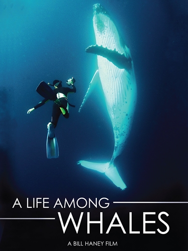 Picture of LIFE AMONG WHALES