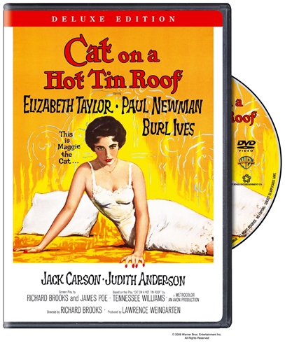 Picture of CAT ON A HOT TIN ROOF