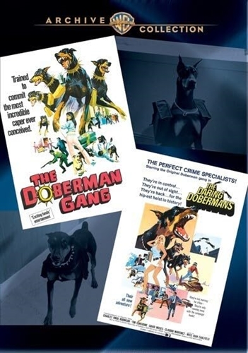 Picture of DOBERMANS DOUBLE FEATURE