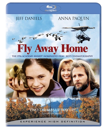 Picture of FLY AWAY HOME