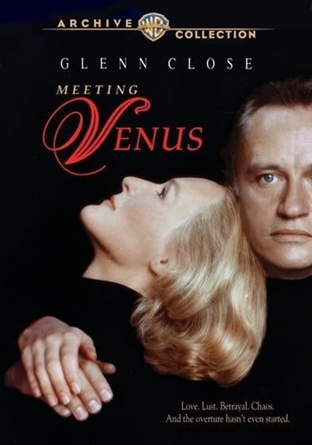 Picture of MEETING VENUS