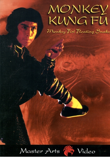 Picture of Monkey Kung-fu