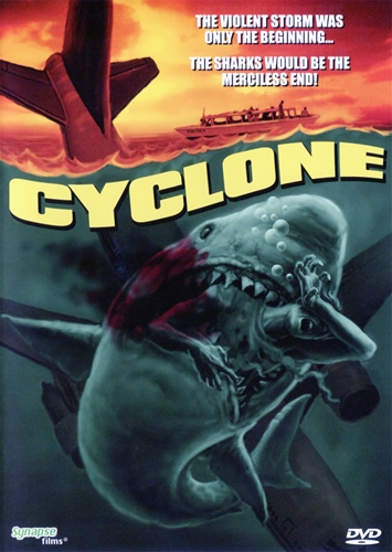 Picture of Cyclone