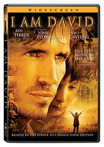 Picture of I AM DAVID