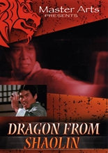 Picture of Dragon From Shaolin