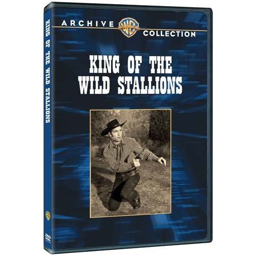 Picture of KING OF THE WILD STALLIONS