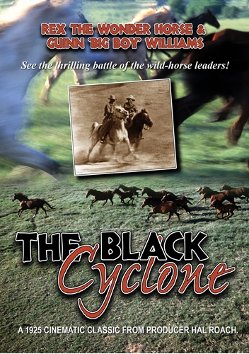 Picture of The Black Cyclone