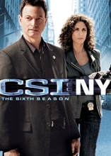 Picture of CSI: NY - SIXTH SEASON