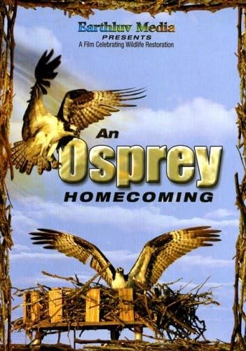 Picture of OSPREY HOMECOMING