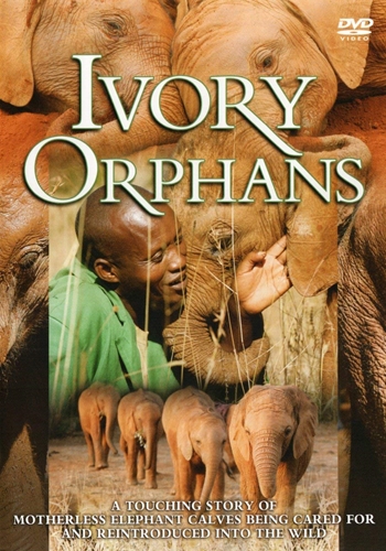 Picture of Ivory Orphans