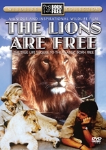 Picture of The Lions Are Free