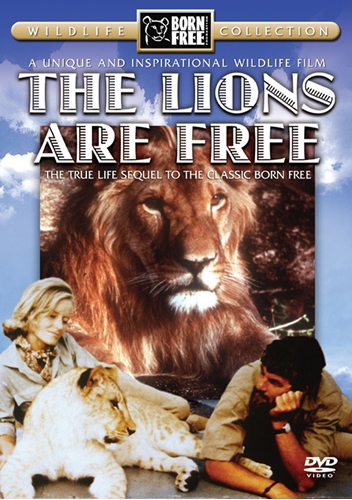 Picture of The Lions Are Free