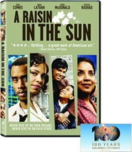 Picture of RAISIN IN THE SUN (2008)