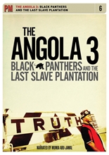 Picture of Black Panthers And The Last Slave Plantation