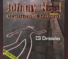 Picture of Csi Chronicles