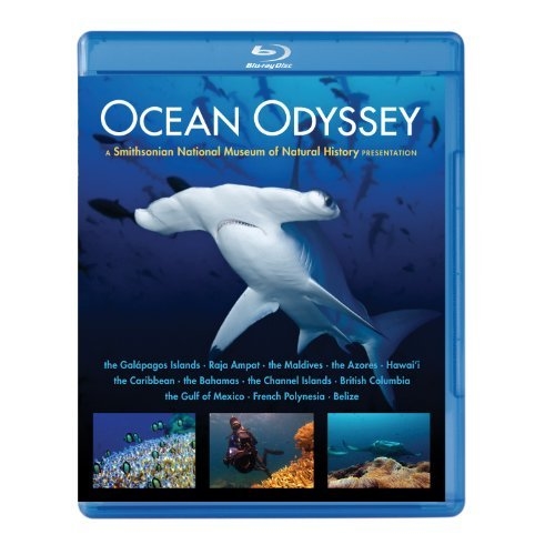 Picture of OCEAN ODYSSEY