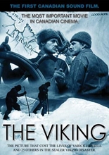 Picture of The Viking