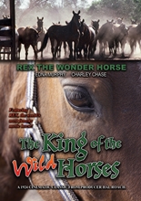 Picture of The King Of The Wild Horses