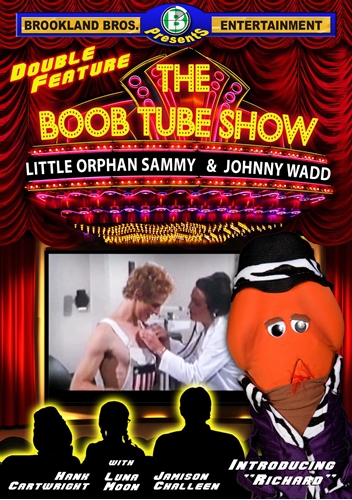 Picture of The Boob Tube Show