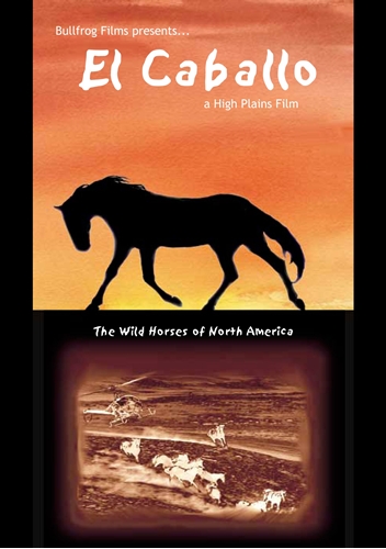 Picture of Caballo: Wild Horses Of Northamerica