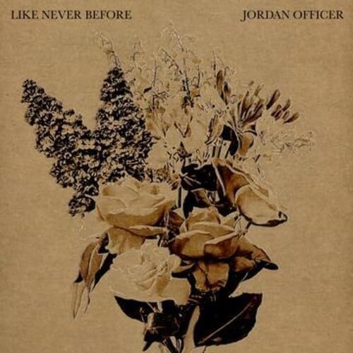 Picture of Like Never Before  by Jordan Officer