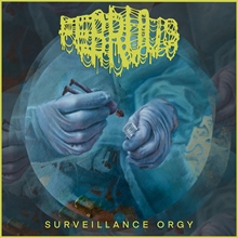 Picture of Surveillance Orgy (CD)  by Februus