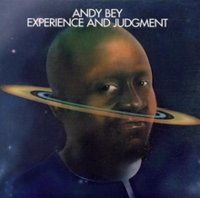 Picture of Experience & Judgment  by Andy Experience & Judgment by Bey