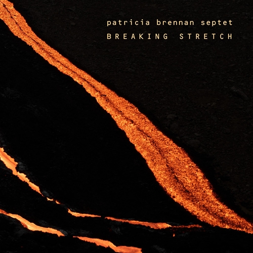 Picture of Breaking Stretch (CD)  by Patricia Brennan