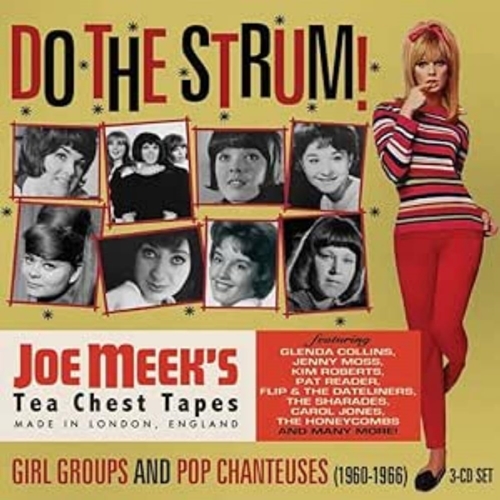 Picture of DO THE STRUM - JOE MEEKS GIRL