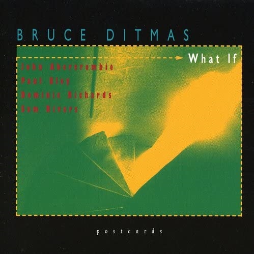 Picture of What If  by What If by Bruce Ditmas