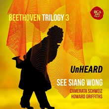 Picture of Beethoven Trilogy 3: Unheard  by See Siang Wong