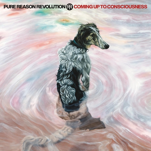 Picture of Coming Up To Consciousness (CD)  by Pure Reason Revolution