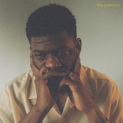 Picture of THE PATIENCE  by MICK JENKINS