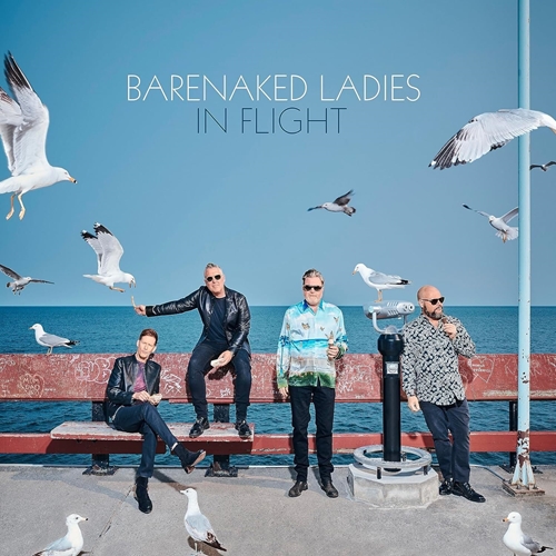 Picture of IN FLIGHT  by BARENAKED LADIES