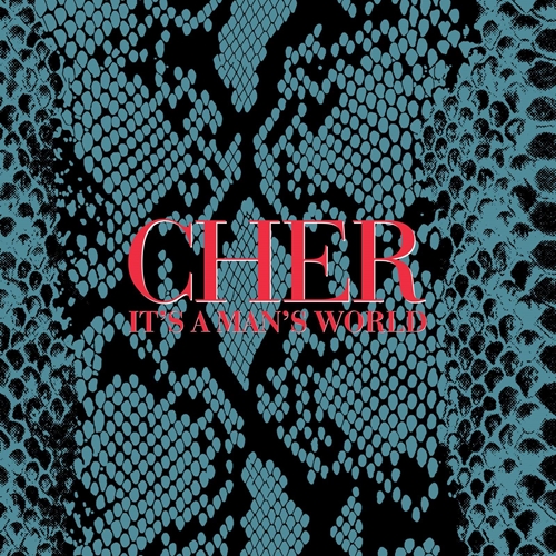 Picture of It's A Man's World (2CD)  by Cher